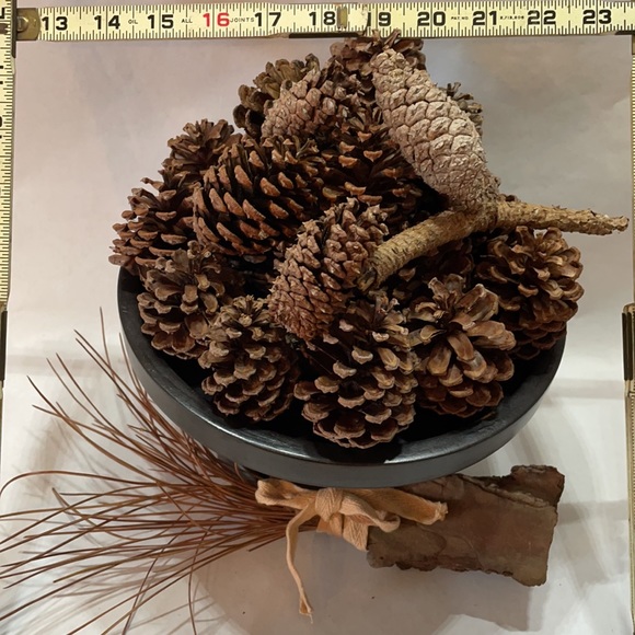 ❗5 For $2️⃣5️⃣ Bundle Sale❗️ Natural Source Pine Cones ~ Bag of 24 for Crafting - Picture 7 of 10